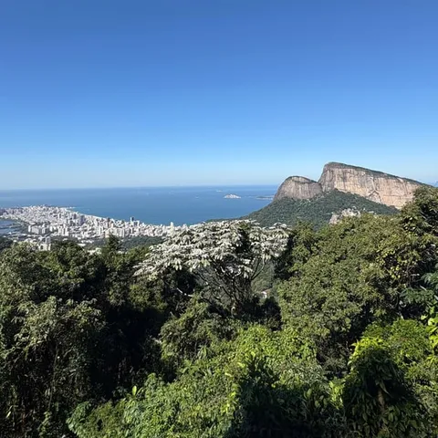The Tijuca forest running down to the coast