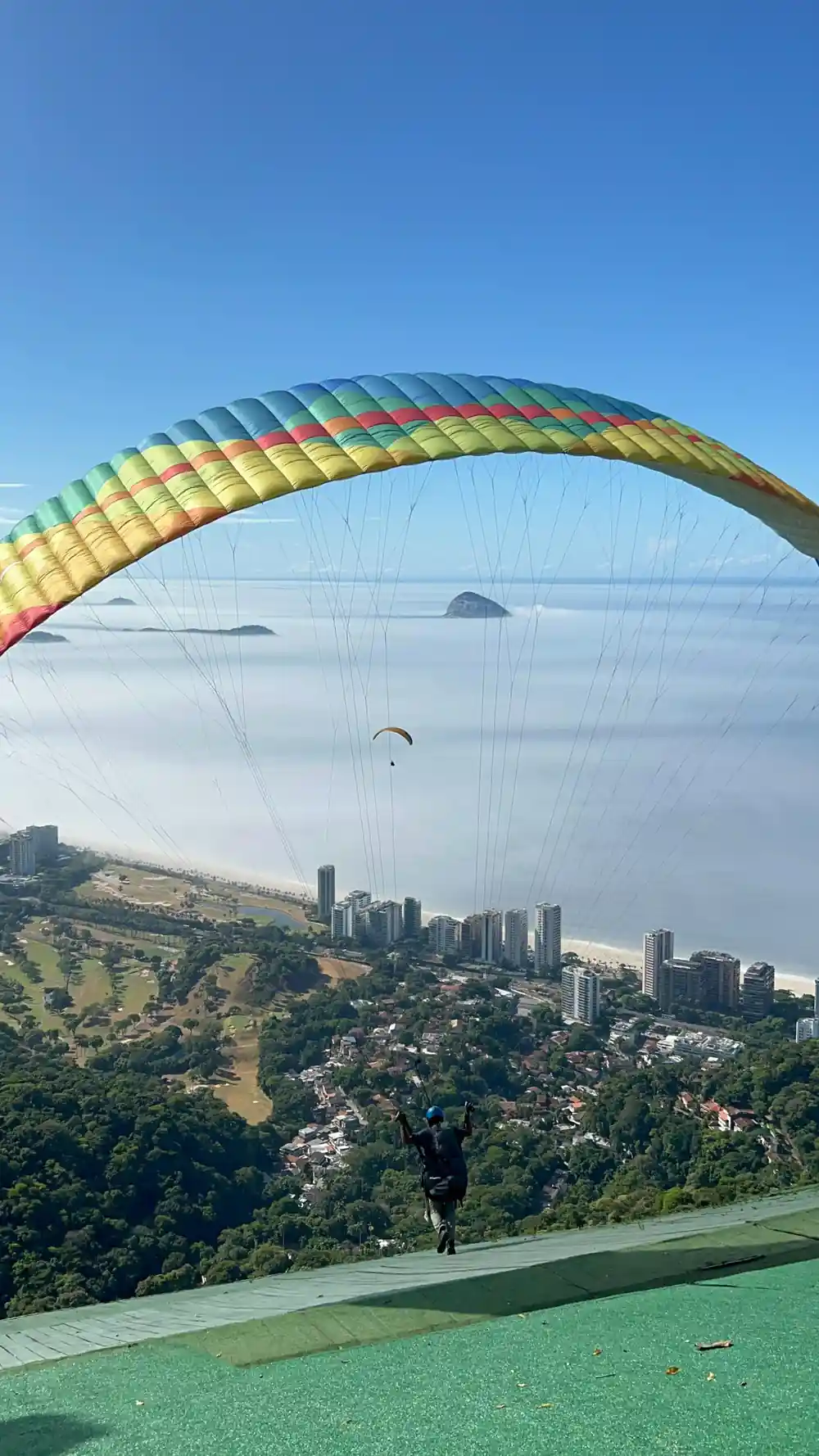 A striped wing arcing over the beachfront city