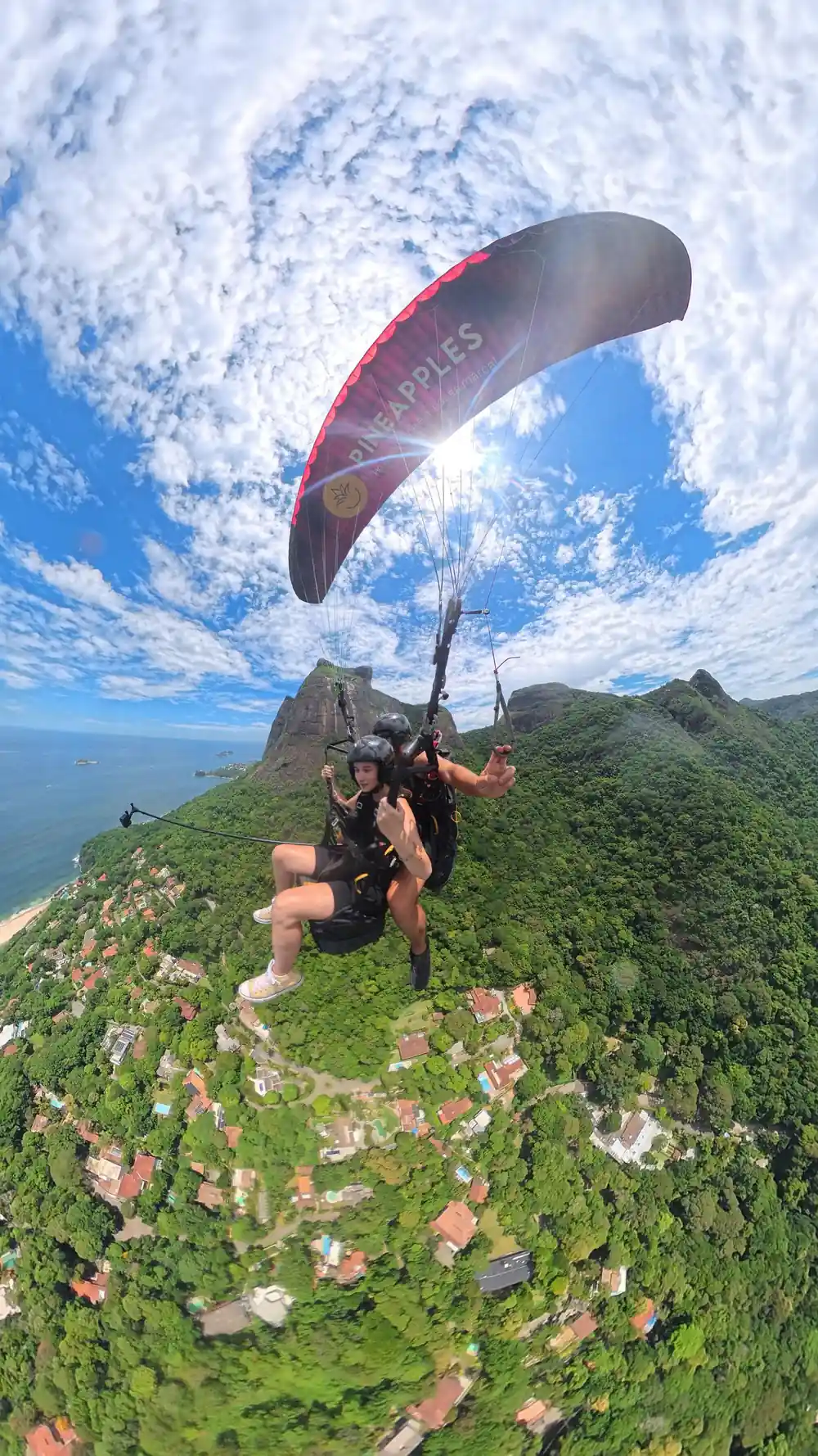 A tandem above the forest with the peak beyond